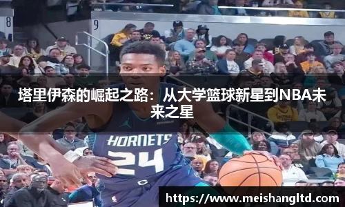 熊猫体育新版本