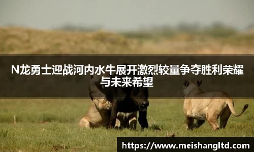 N龙勇士迎战河内水牛展开激烈较量争夺胜利荣耀与未来希望